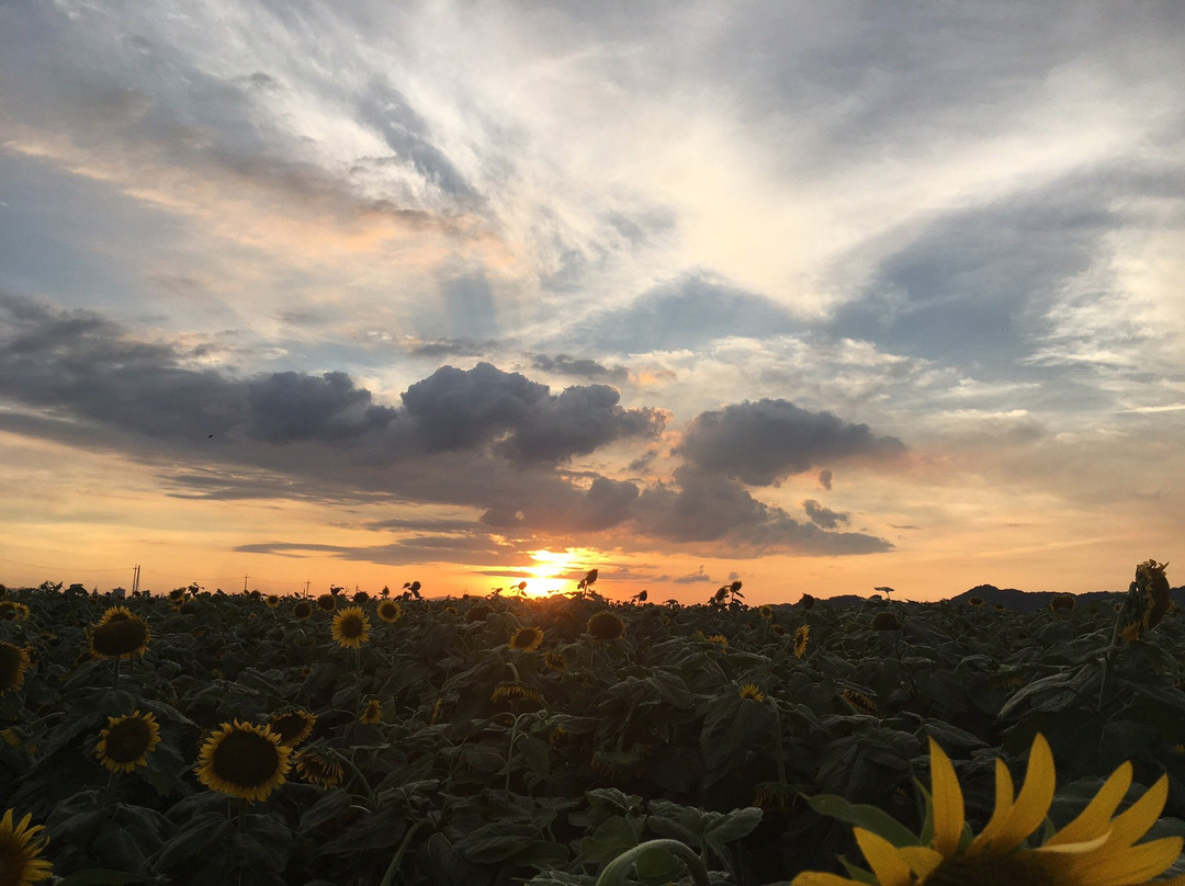 Michi-no-Eki Kasaoka Bay Farm-笠冈市必去景点