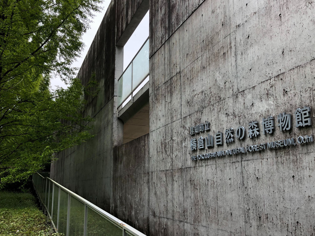 Yokogurayama Shizen no Mori Museum-越知町必去景点