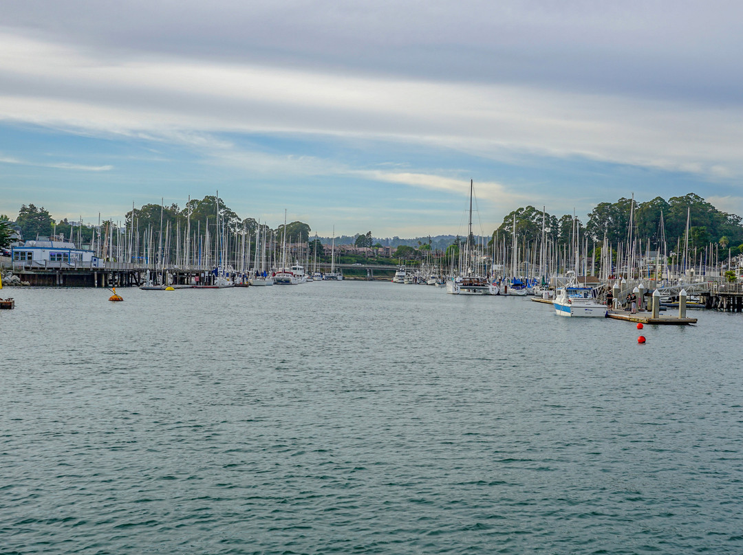 Santa Cruz Harbor-圣克鲁斯必去景点