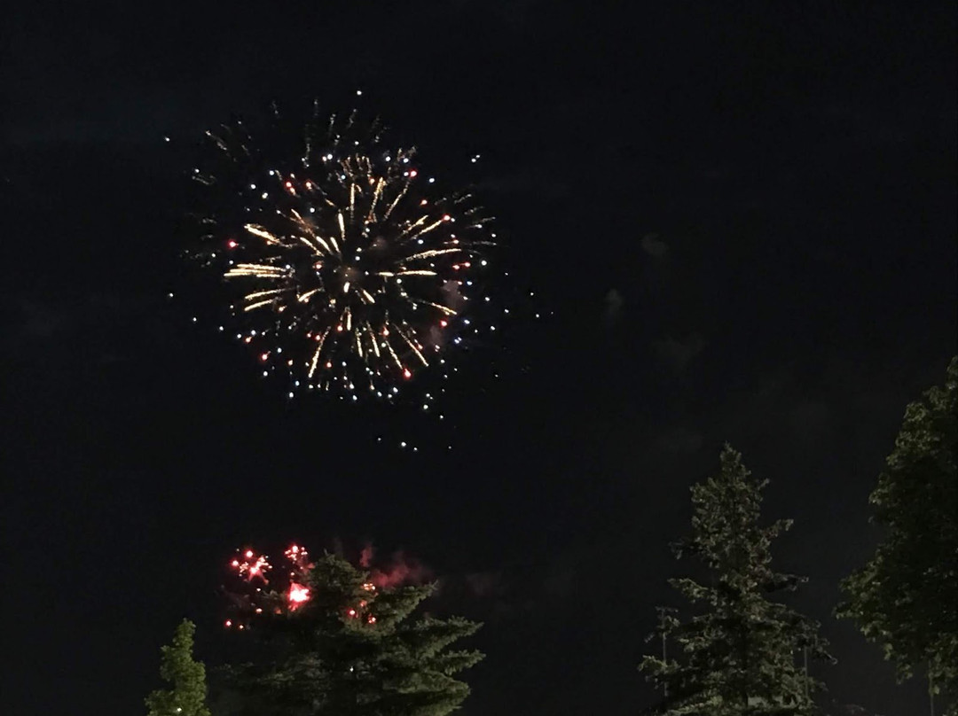 Donald M. Gordon Chinguacousy Park-布兰普敦必去景点