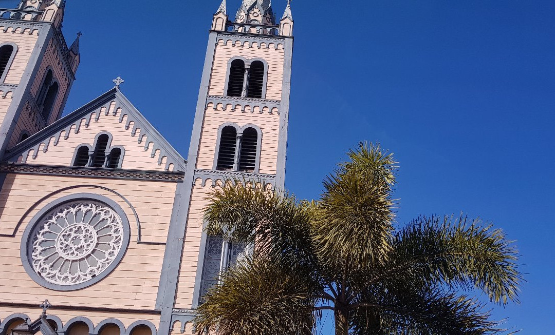 Saint-Peter-and-Paul Basilica of Paramaribo景点图片