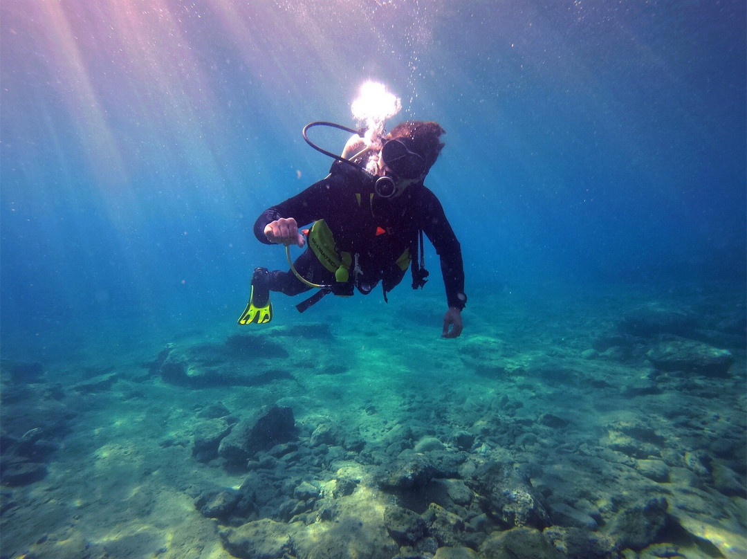 Dive With Me Athens-Artemida必去景点