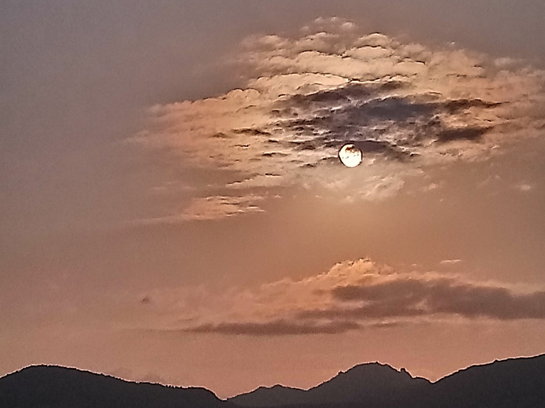 DST- Diving & Snorkelling Team Sardegna-Golfo Aranci必去景点