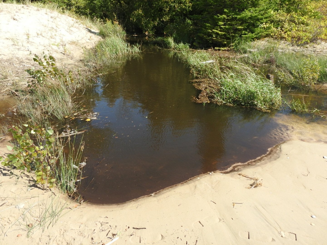 Antrim Creek Natural Area景点图片
