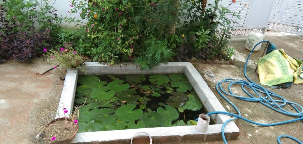 The High Vill Home Stay主图