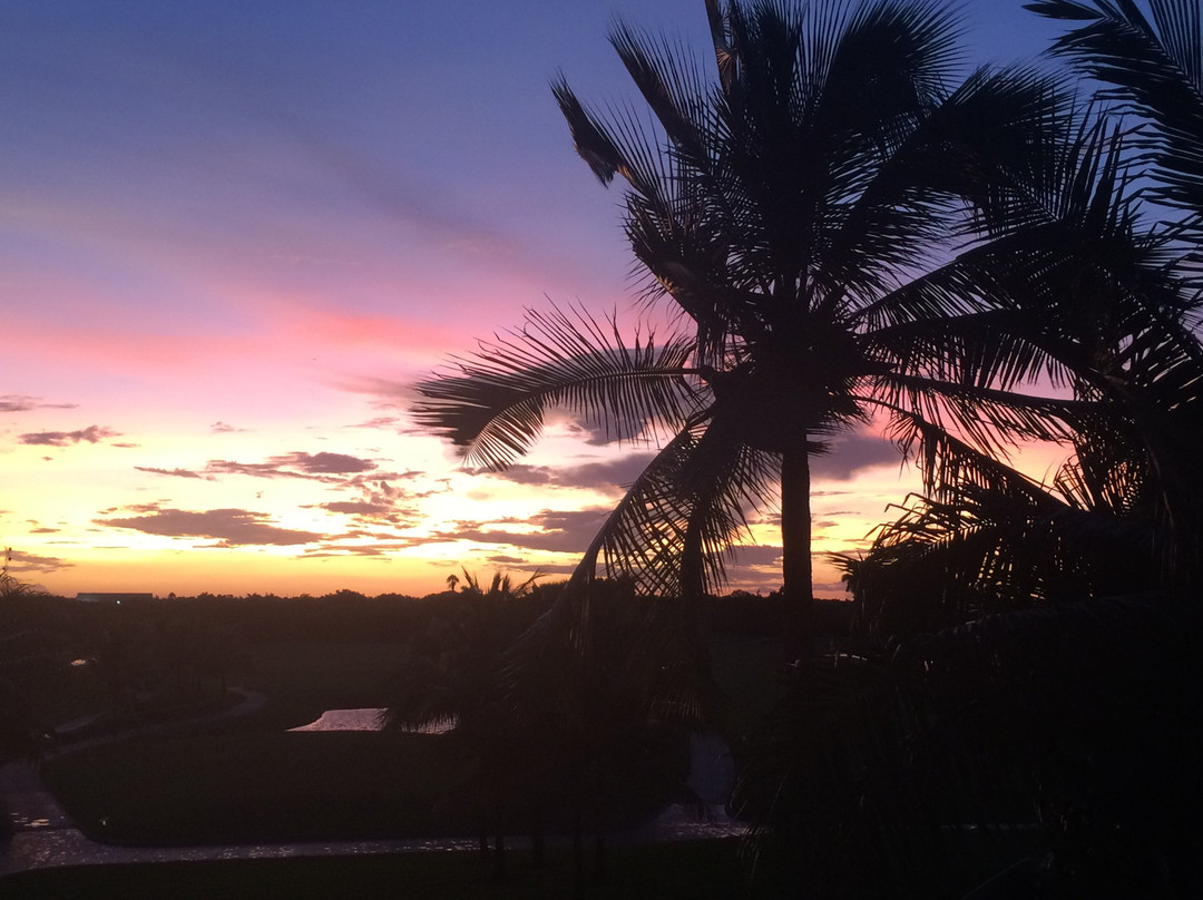 Trump National Doral Miami主图