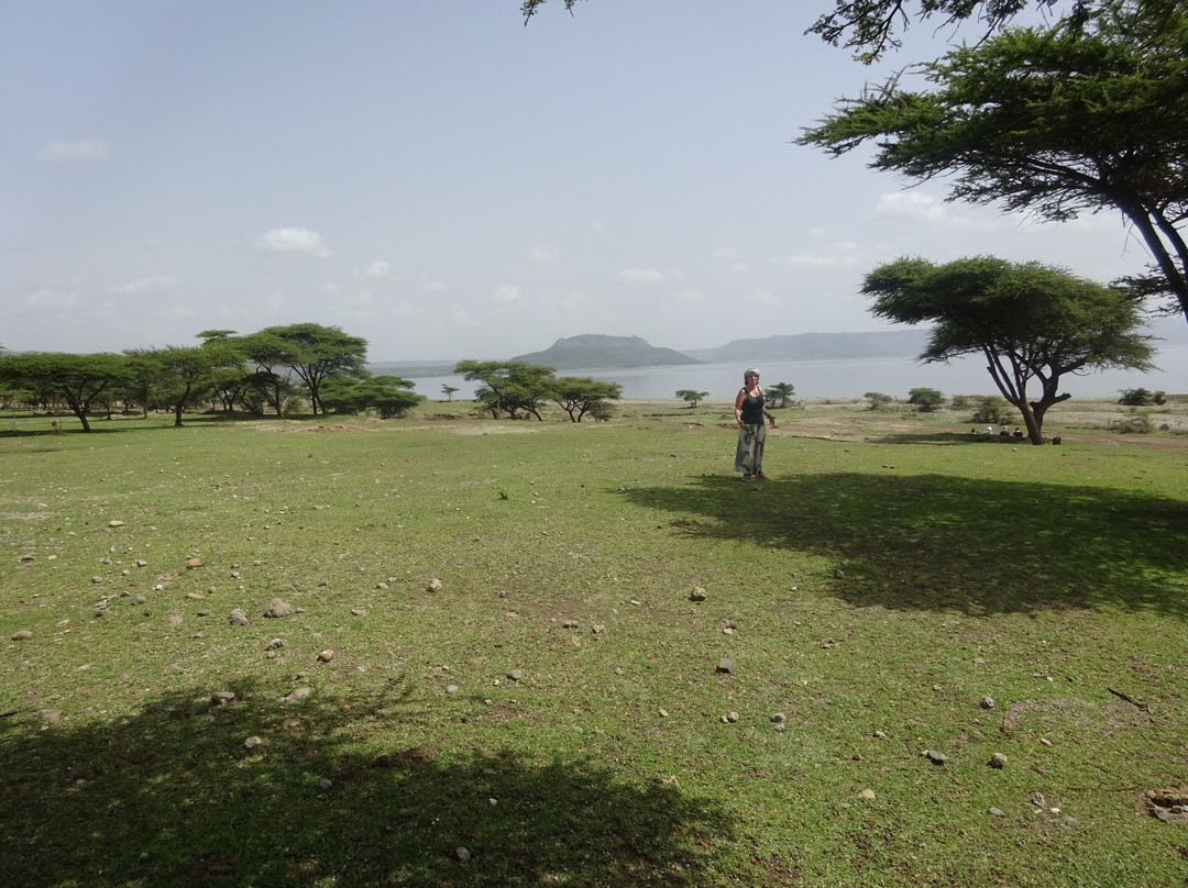 Abidjatta-Shalla National Park景点图片