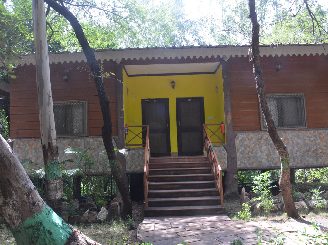 Pipariya酒店住宿-MPT Jungle Resort, Udaigiri