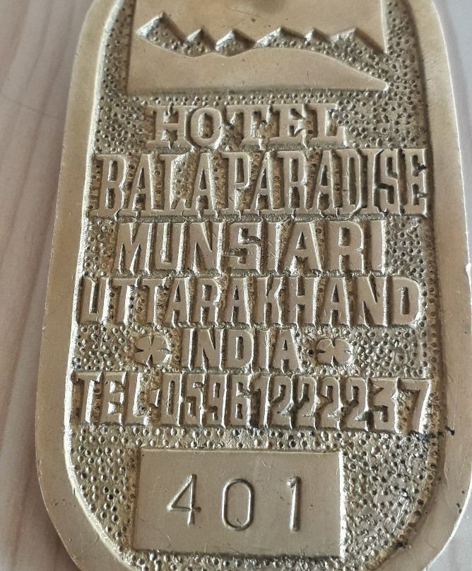 Hotel Bala Paradise主图