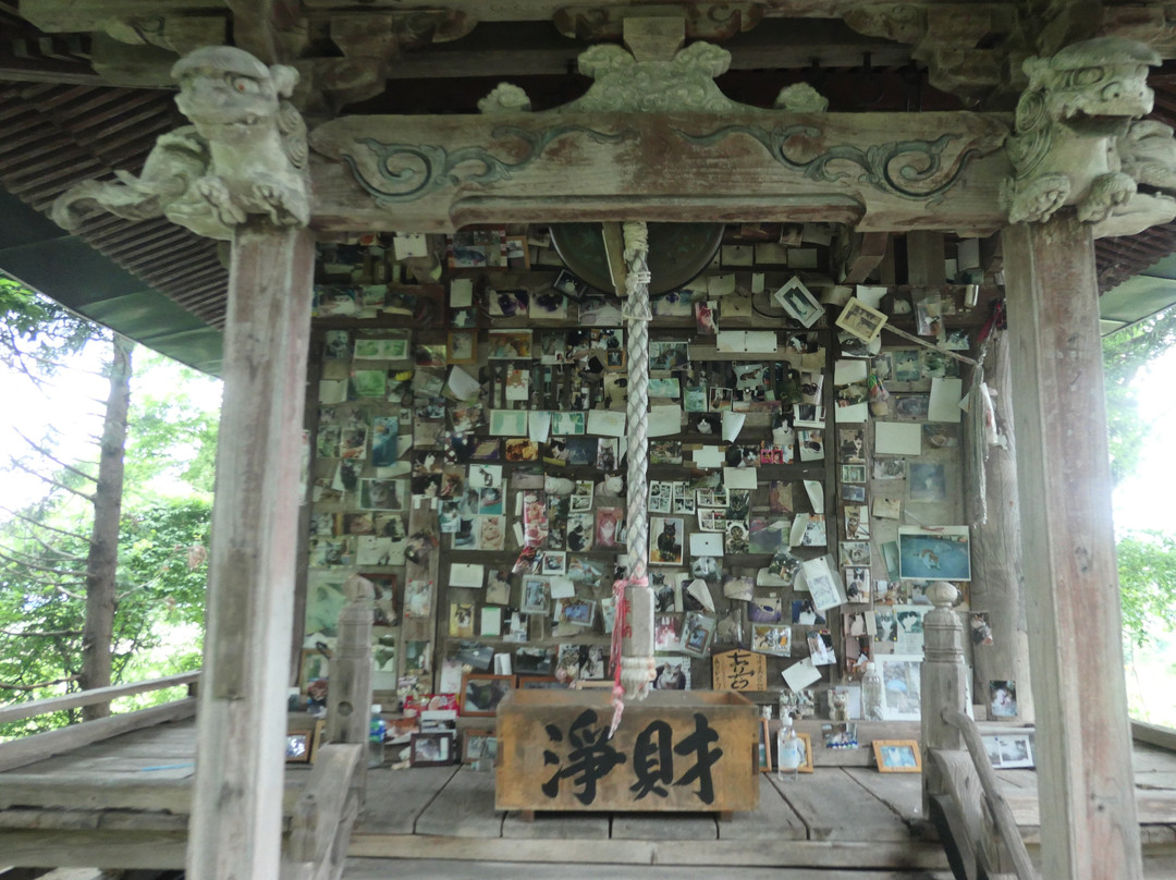 Cat's Shrine景点图片