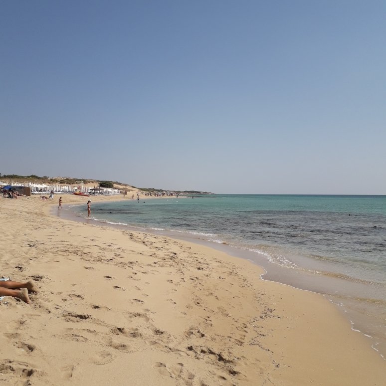 Masseria Il Mandorlo Fiorito-官方