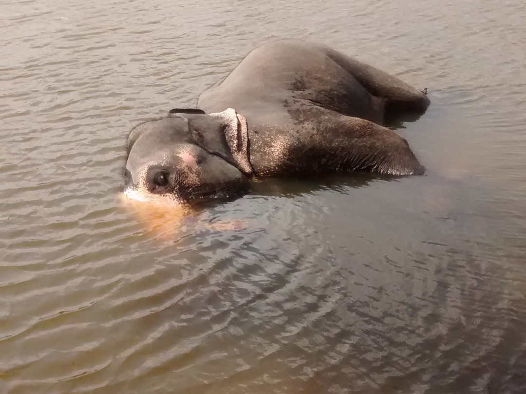 Asya Tours-瓦都瓦必去景点
