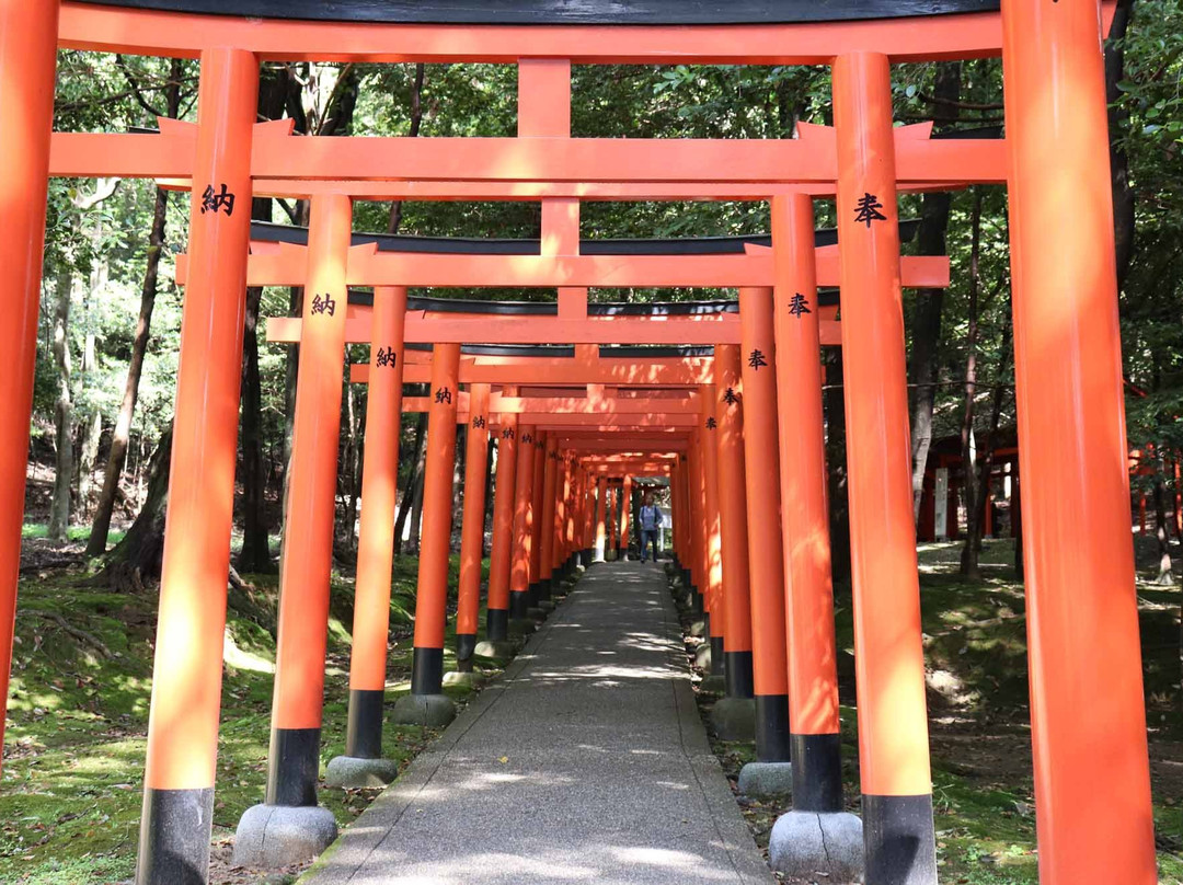 Kashihara Jingu Massha Nagayama Inari Shrine-橿原市必去景点