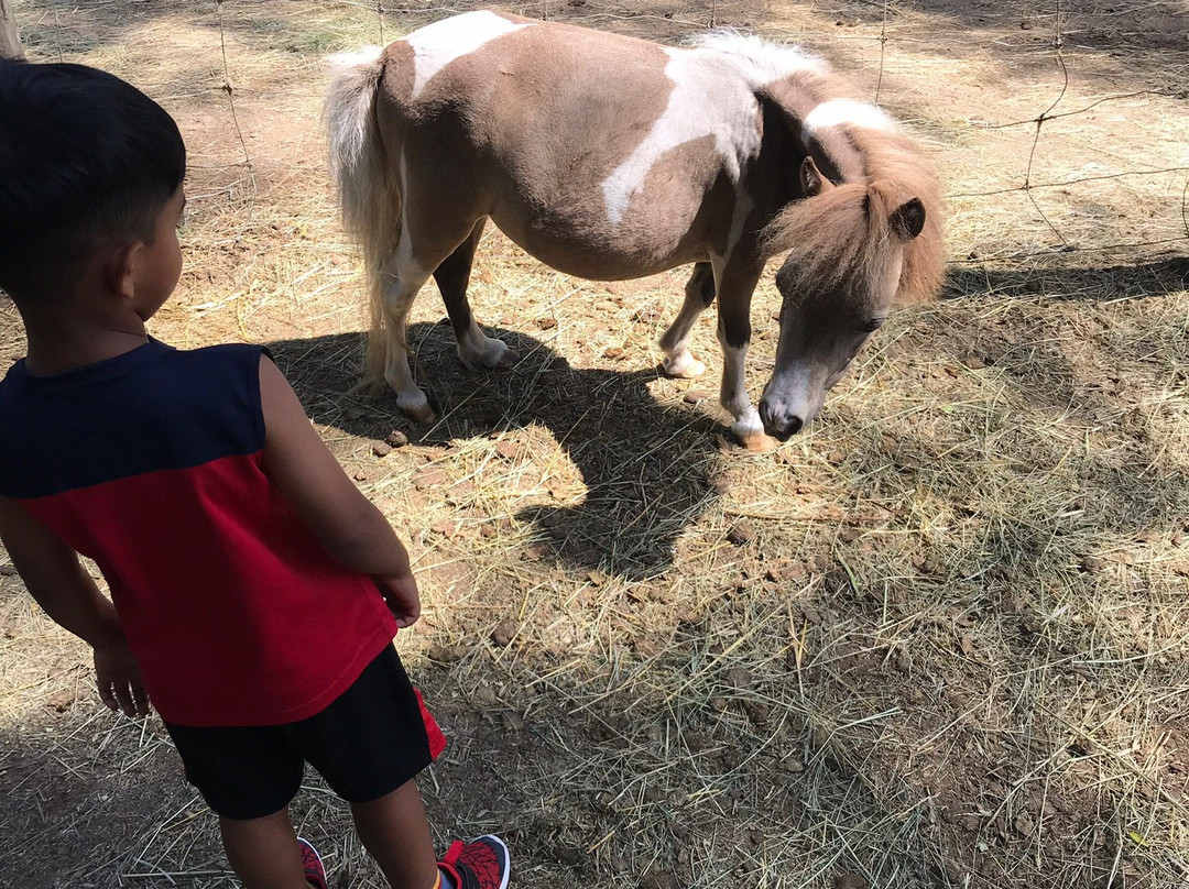 Mountain Creek Ranch-班克罗夫特必去景点