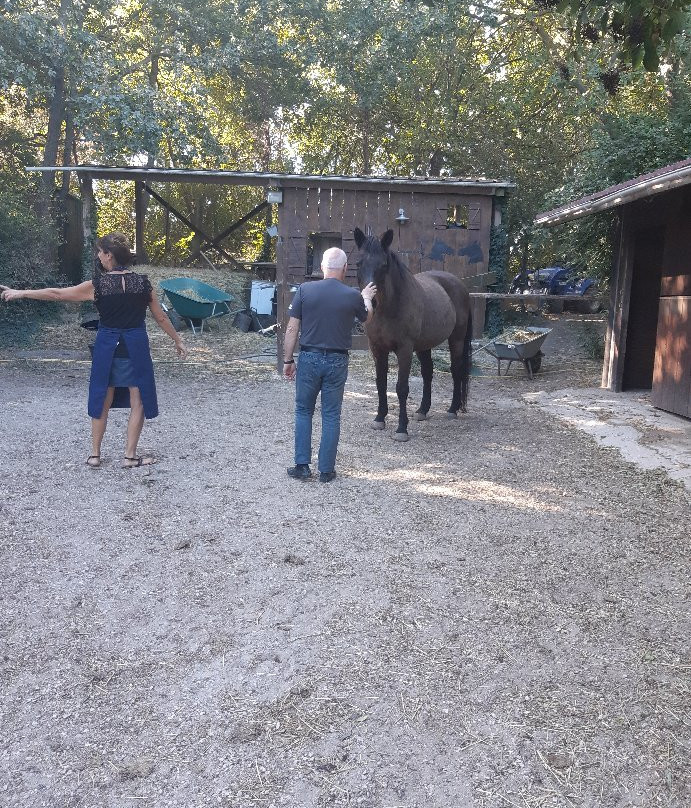 Les Ecuries du Mas主图