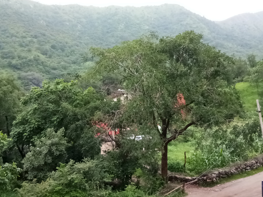 Palace RajKumbha主图