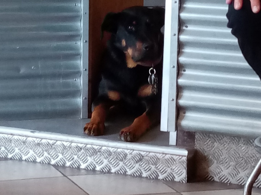 提让巴特酒店主图