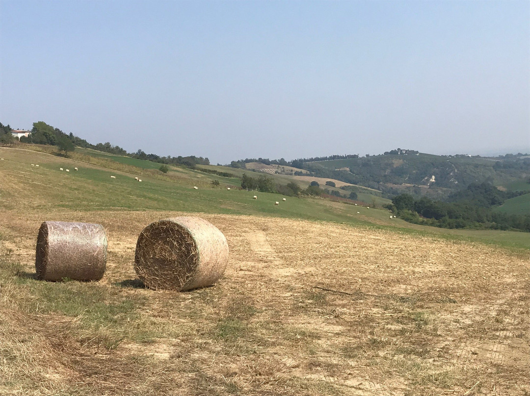 Locanda della Fortuna主图
