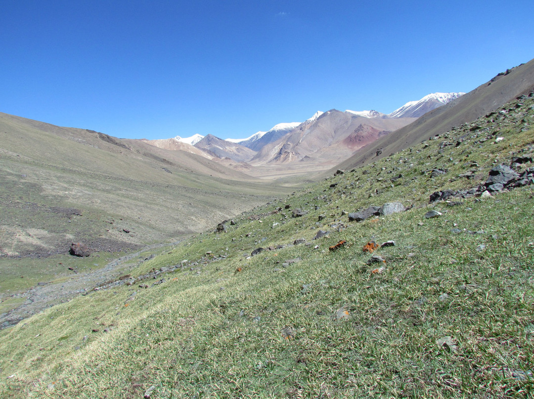 Tour Organizer Tajikistan景点图片