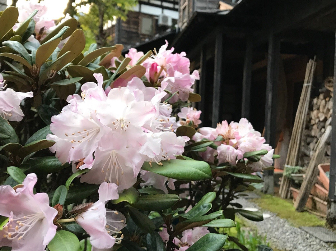Tochiomata Onsen-鱼沼市必去景点