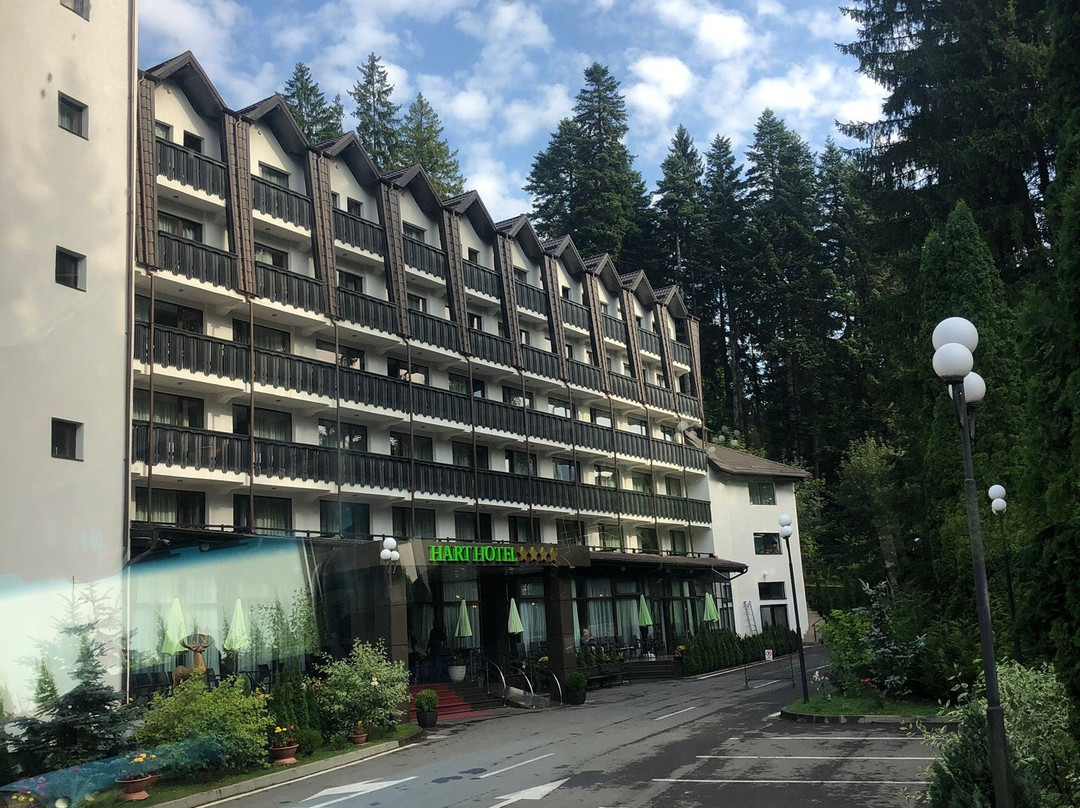 Hotel Hart主图