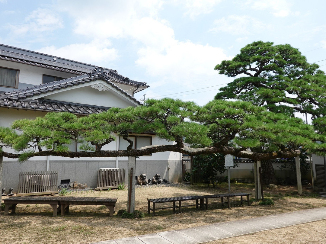 Senkyo-ji Temple-矢挂町必去景点