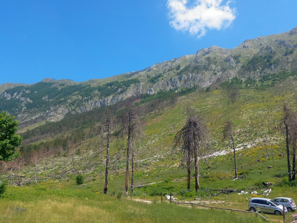 Colle delle Vacche景点图片