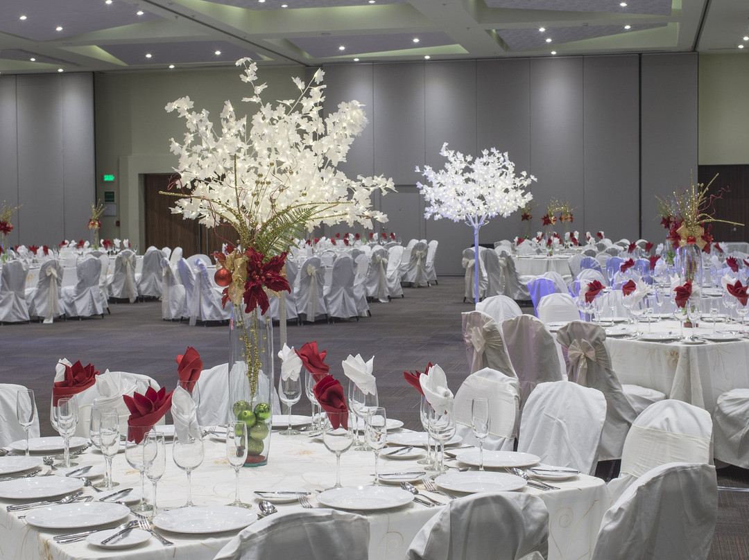 Holiday Inn Coatzacoalcos By IHG主图