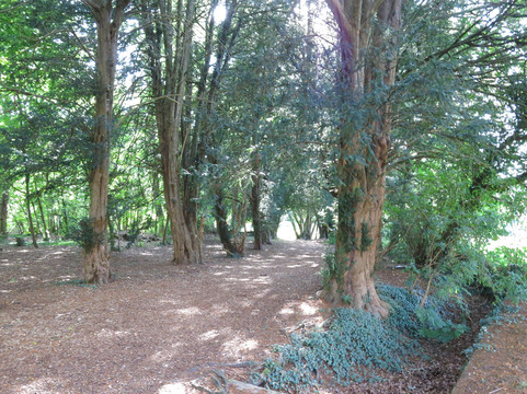 St Mary's Church-Tidworth必去景点
