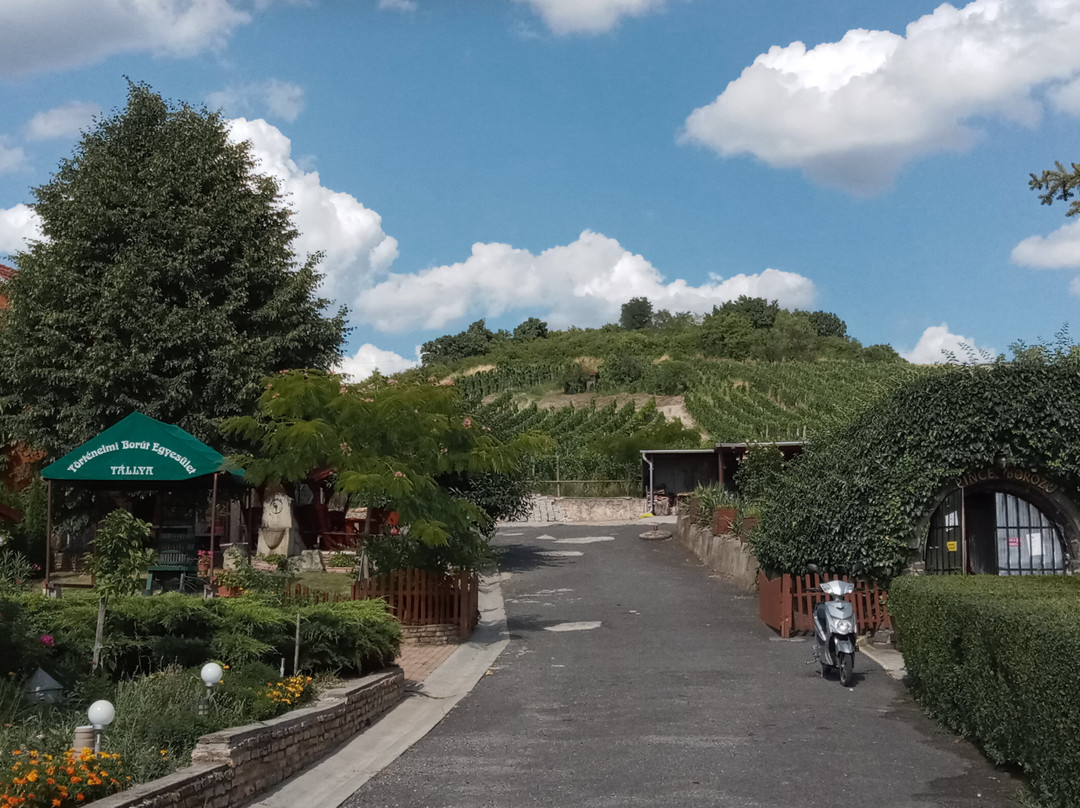 Europe Center Cellar Wine Bar and Guesthouse