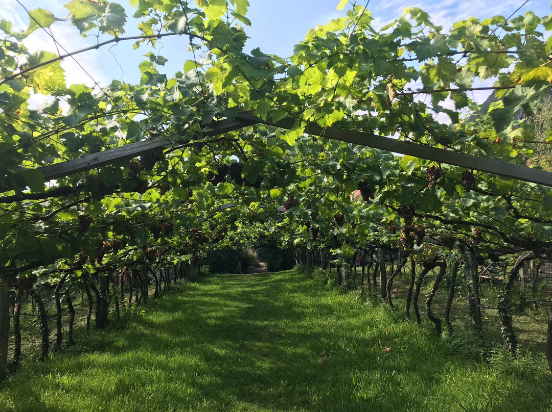 Hotel Schloss Englar主图