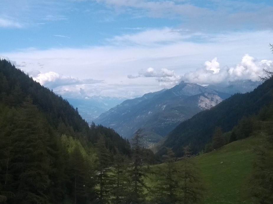 Hôtel de la Forclaz主图