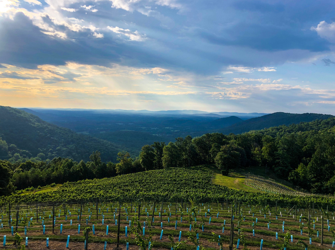 Stone Mountain Vineyards-Dyke必去景点