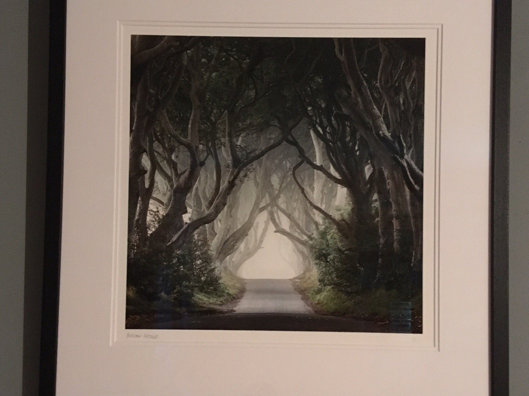 Rohan Reilly Photography-金塞尔必去景点