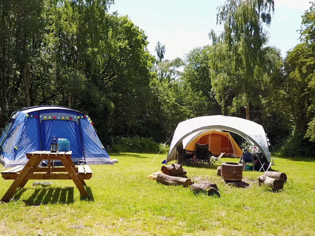 Dreamy Hollow Campsite