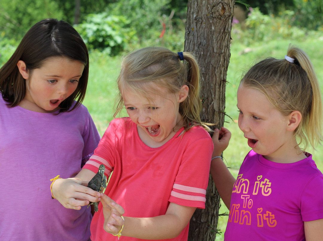 Fischer Park-新布朗费尔斯必去景点