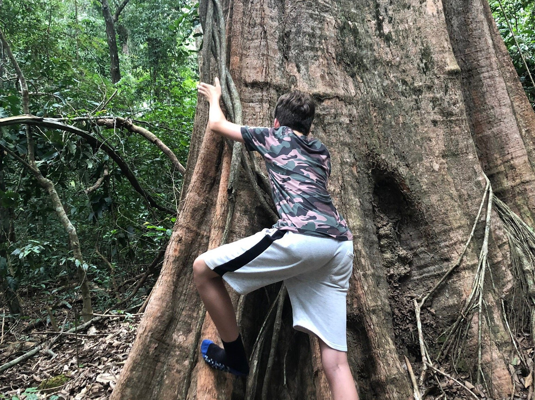 BeTreed Adventures景点图片