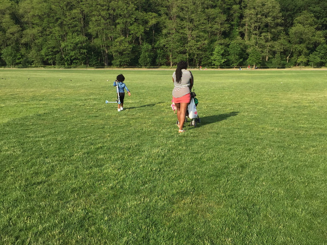 Van Cortlandt Park-布朗克斯必去景点