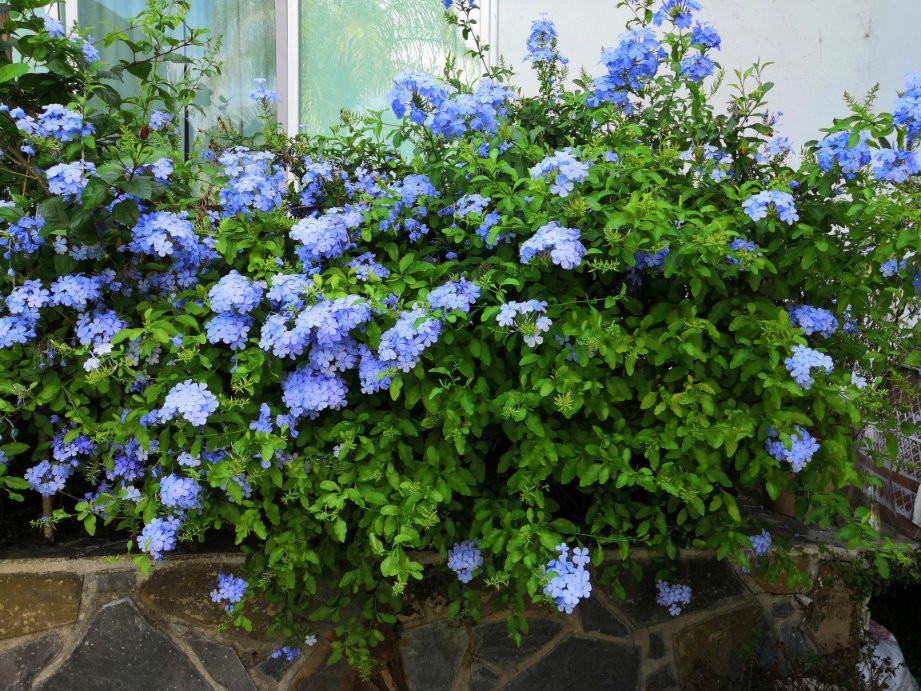 Hotel Camino Surreal Xilitla主图