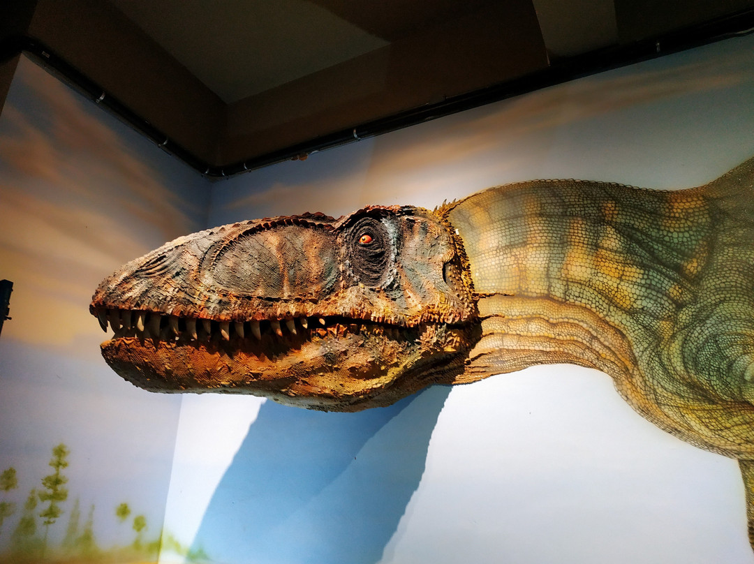 Archeology and Natural History Research Center of Maranhao-马拉尼昂州圣路易斯德必去景点