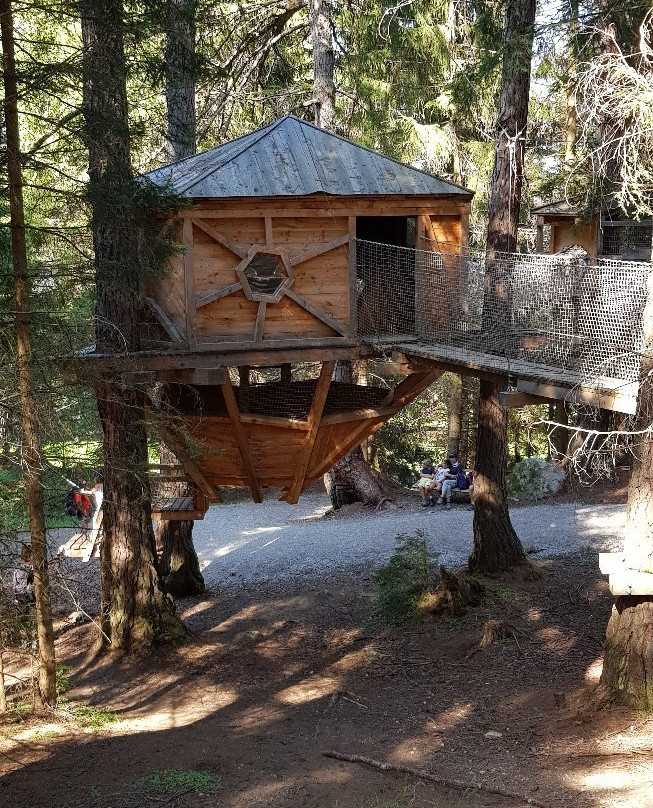 Stubai Baumhausweg景点图片