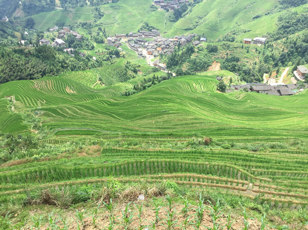 昔阳大寨村生态农业园-昔阳县必去景点