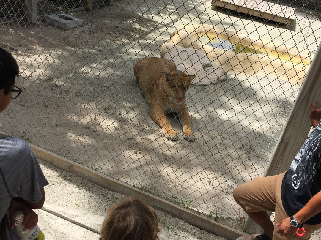 McCarthy's Wildlife Sanctuary景点图片
