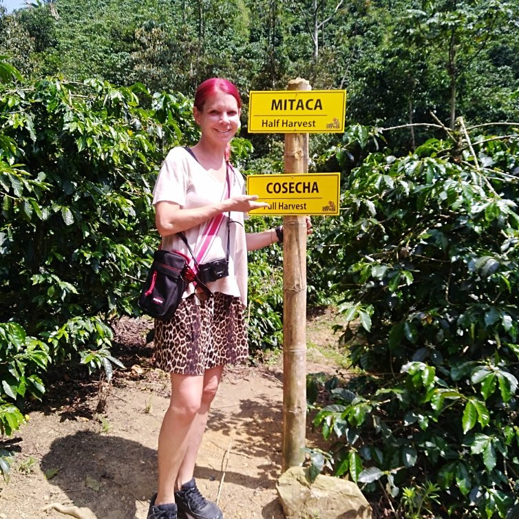 Finca Cafetera La Leona-麦德林必去景点