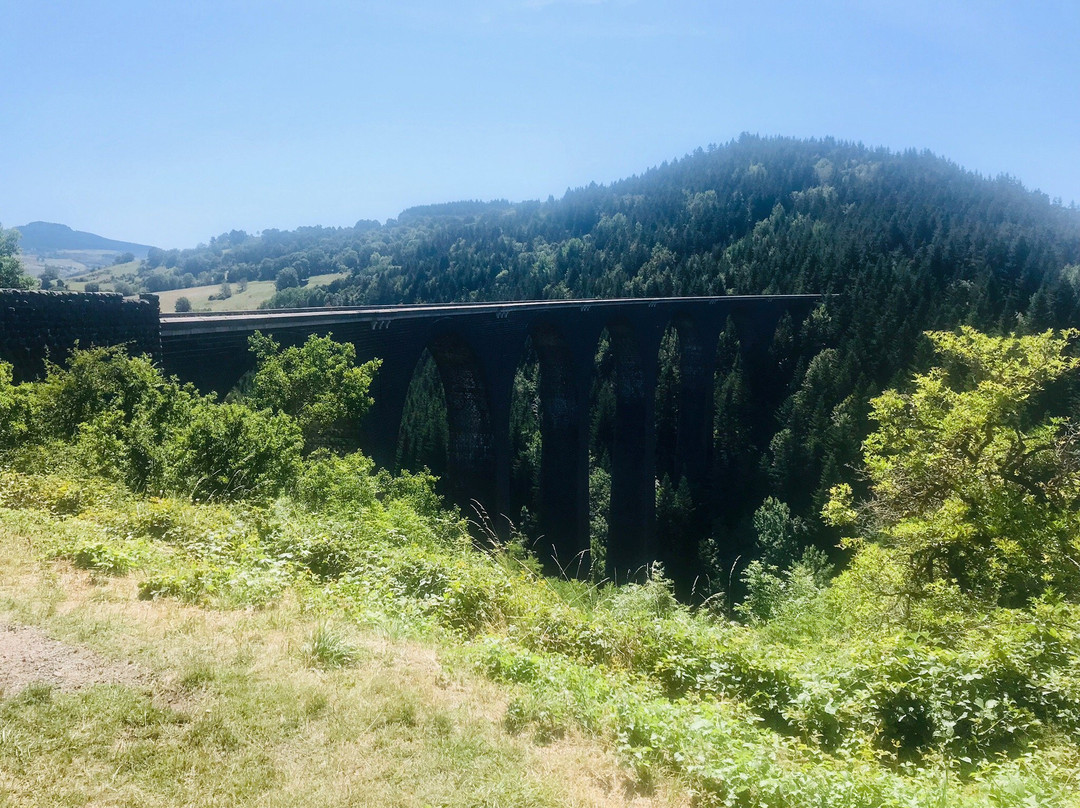 Viaduc de la Recoumène景点图片