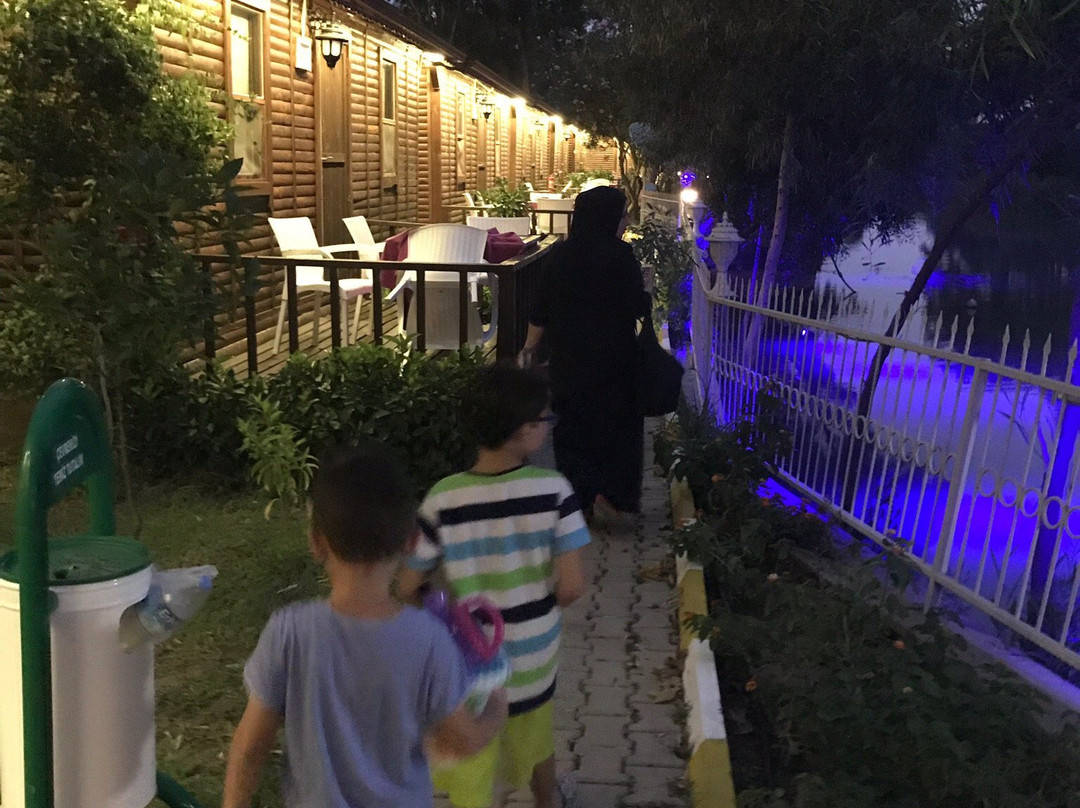 Lemon Park House主图