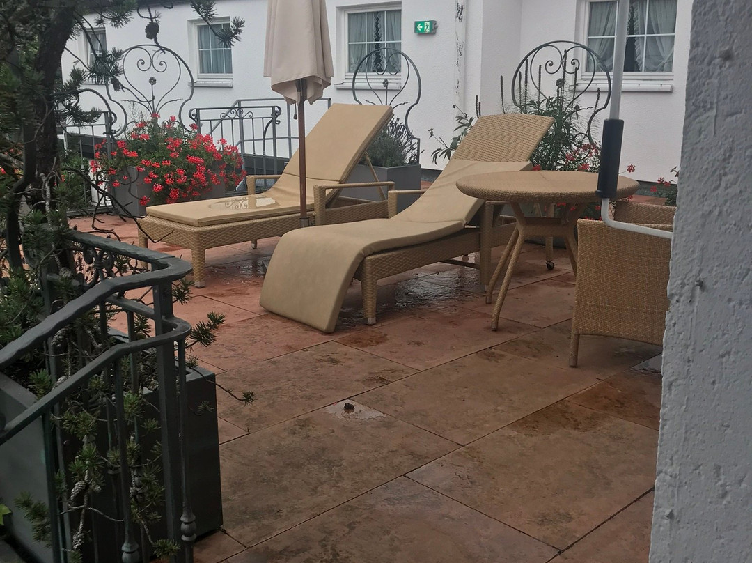 Adler Häusern Gourmet & Spa主图