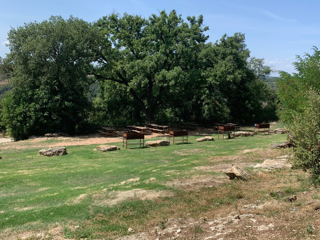 Saltalbero Parco Avventura景点图片