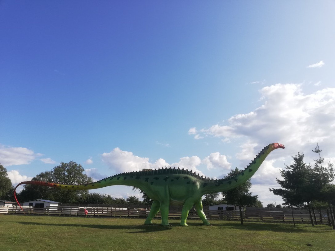 Baltic Dinosaur Park-Wrzosowo必去景点