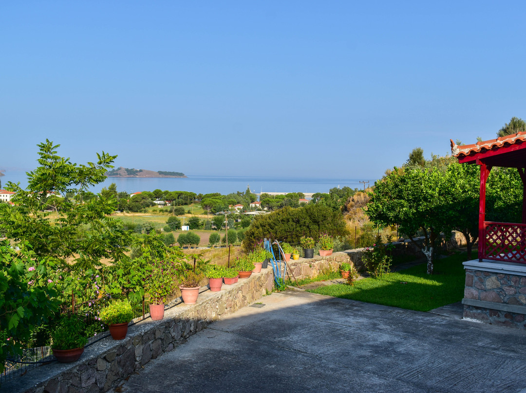 Troyan Hill Apartments主图